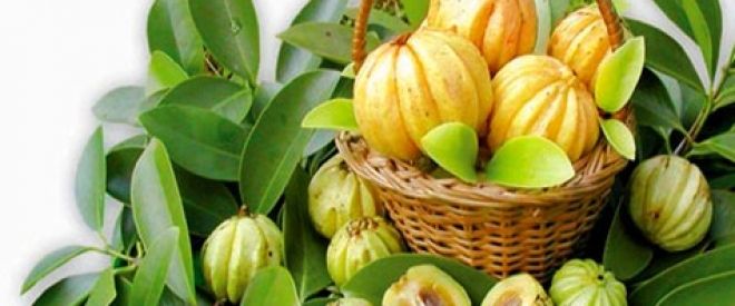 La Garcinia Cambogia fa dimagrire?