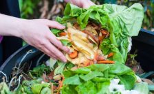 la dieta salutare costa di piu