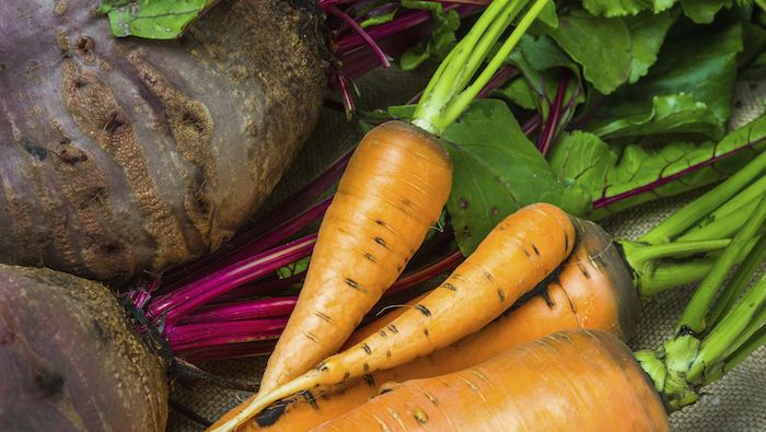 ma 5 porzioni di frutta e verdura quanto sono