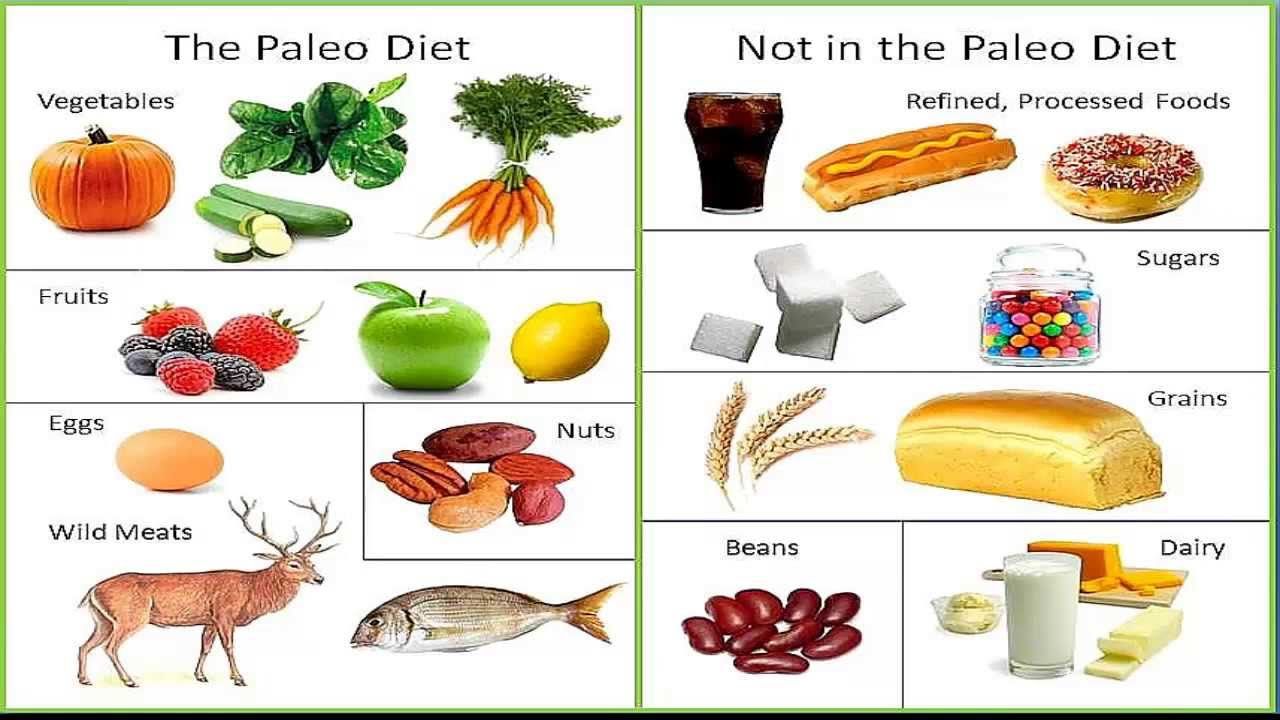 Scoperta la vera dieta paleolitica