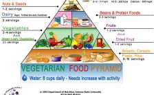 dieta vegetariana migliore per 9 ragioni