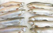 quali sono i migliori integratori di omega3