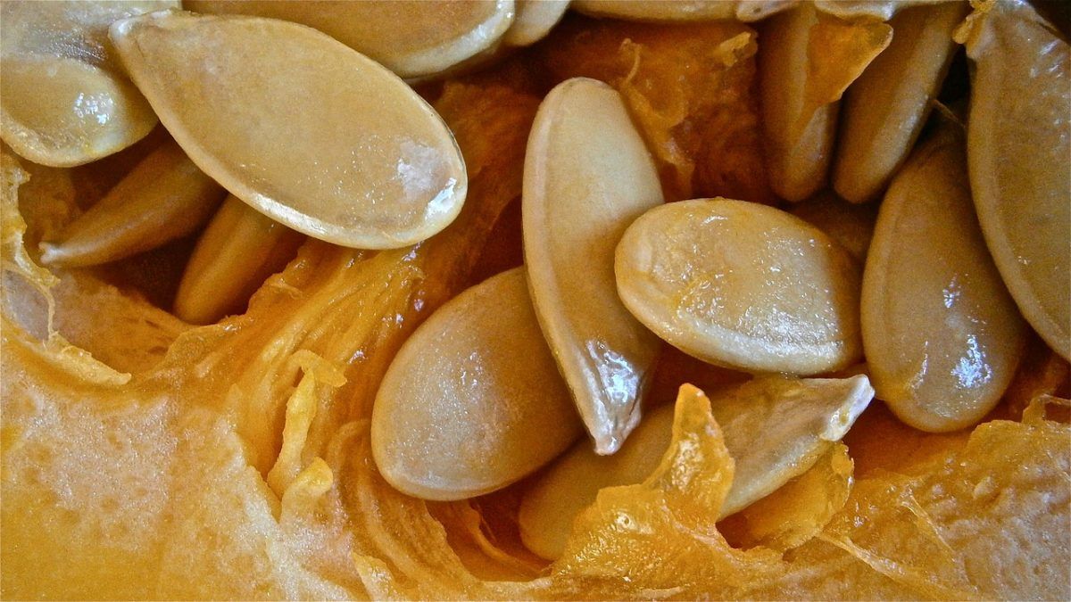 La torta di zucca per chi ha fame di dolci