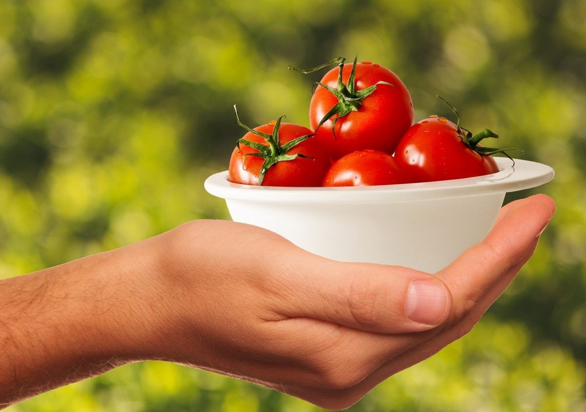 E’ possibile fare una dieta senza verdure che sia salutare?