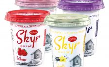 guida ai formaggi magri lo skyr e il quark