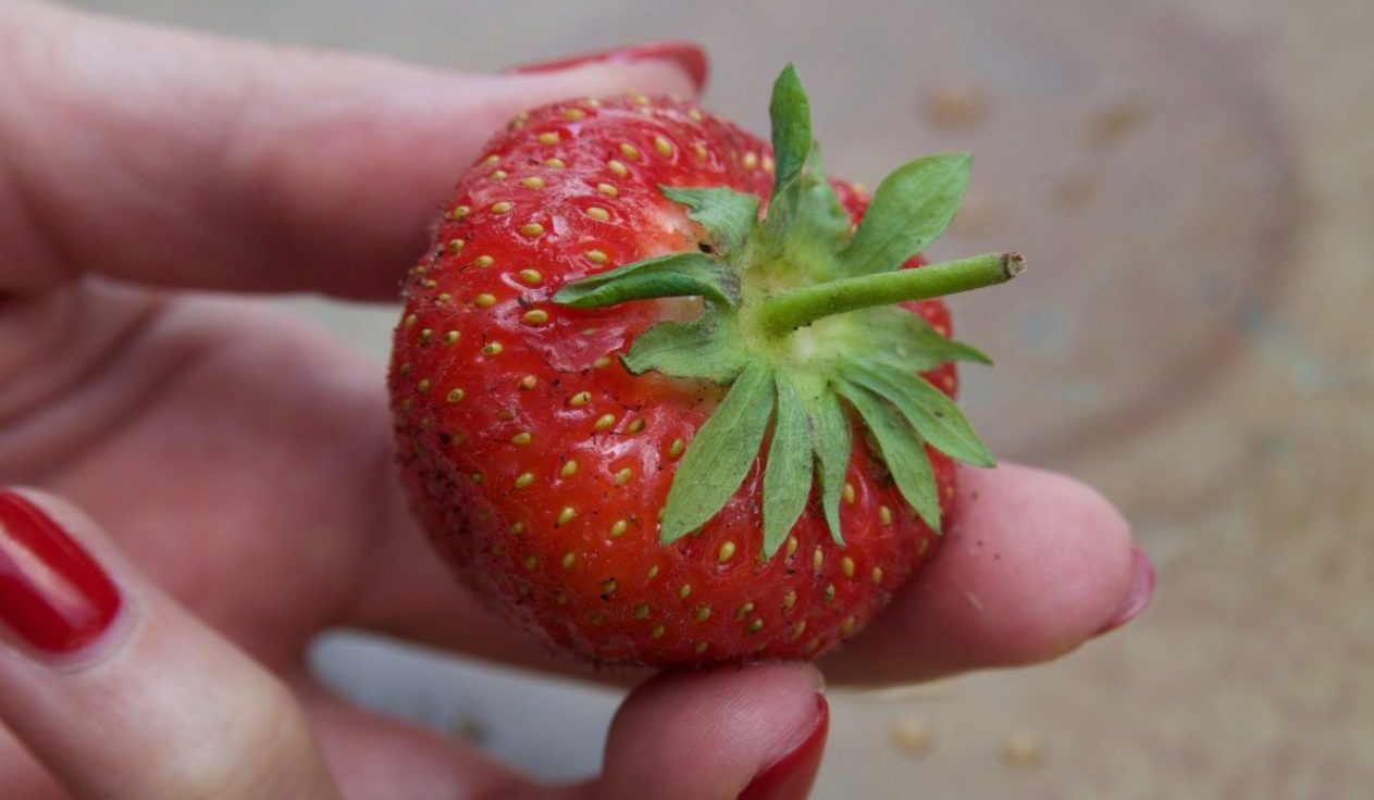 La vera dieta della longevità non è difficile, anzi