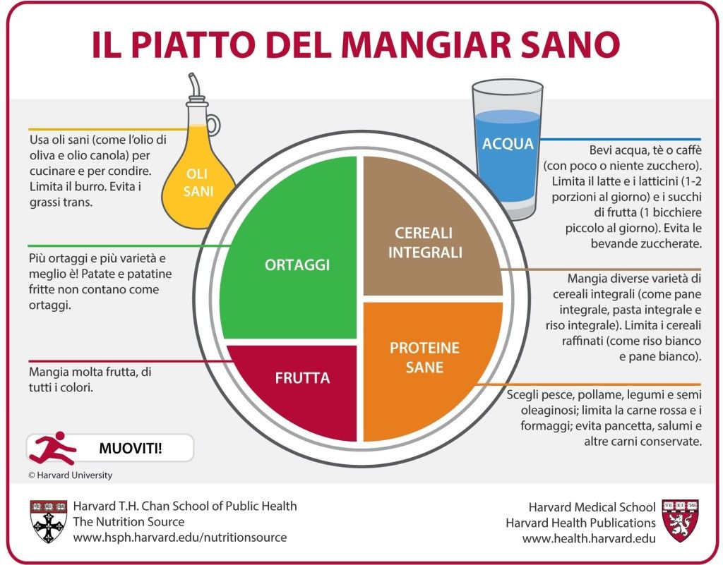 piatto-sano-immagine