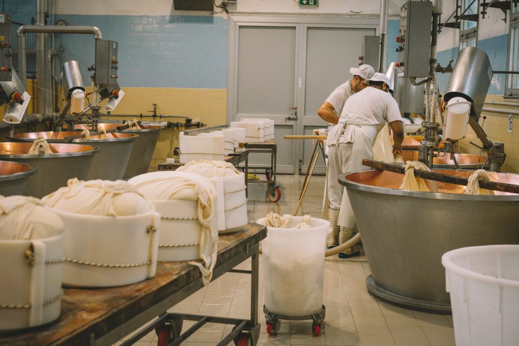 lavorazione formaggio