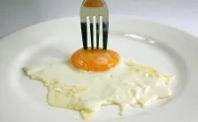 grassi nella dieta una precisazione