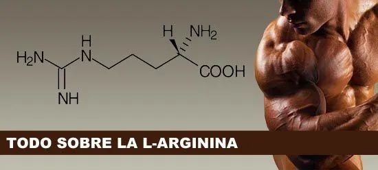 Bruciare grassi con la l-Arginina secondo il dottor Oz