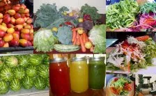 la dieta crudista fa dimagrire