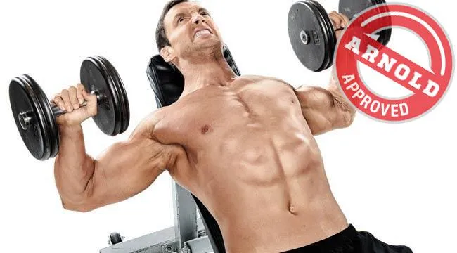 Accelerare il metabolismo con i muscoli?