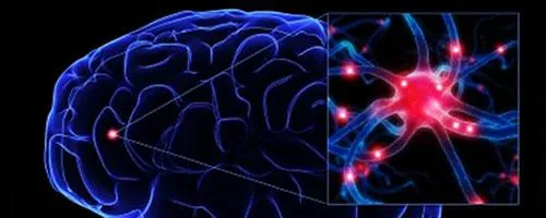 Dieta low-carb ed epilessia