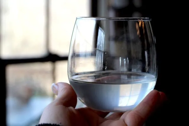 Cibi fermentati per dimagrire e digerire meglio