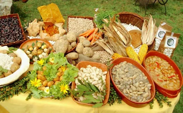 La dieta secondo la Coldiretti per perdere 2 Kg