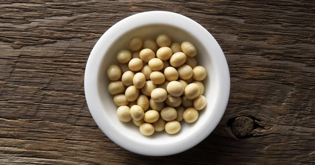 Latte di soia e tofu fanno male?