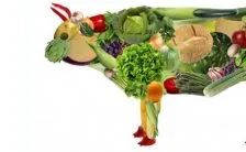 lierre keith e il falso mito della dieta vegana