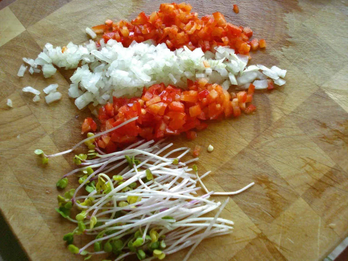 La dieta veggan, ovvero la dieta ovovegetariana