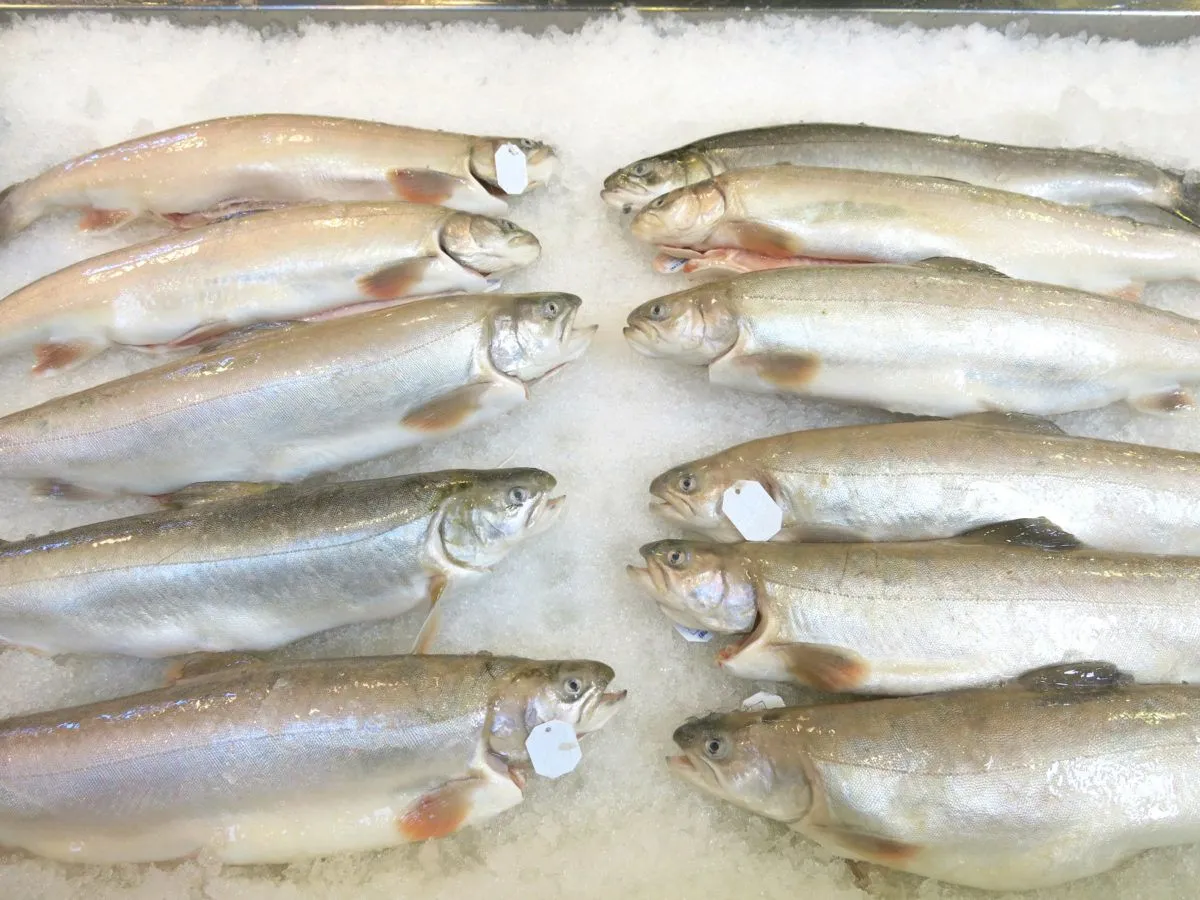 Alimentazione equilibrata. Quali sono le proteine?