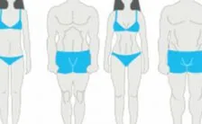 la dieta per morfotipo dimagrisci in base alla costituzione fisica