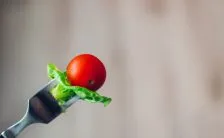 dieta vegana le raccomandazioni dei tedeschi