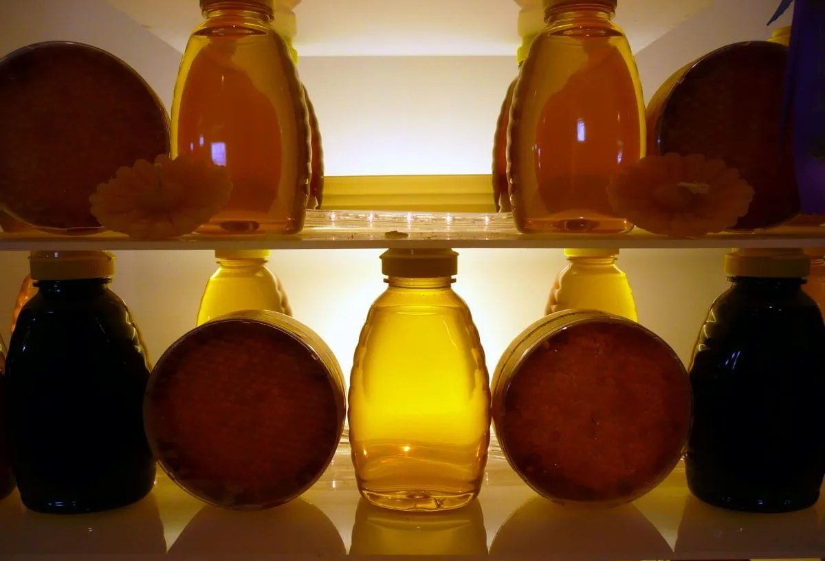 Ricerca scientifica comprata dall’industria dello zucchero?