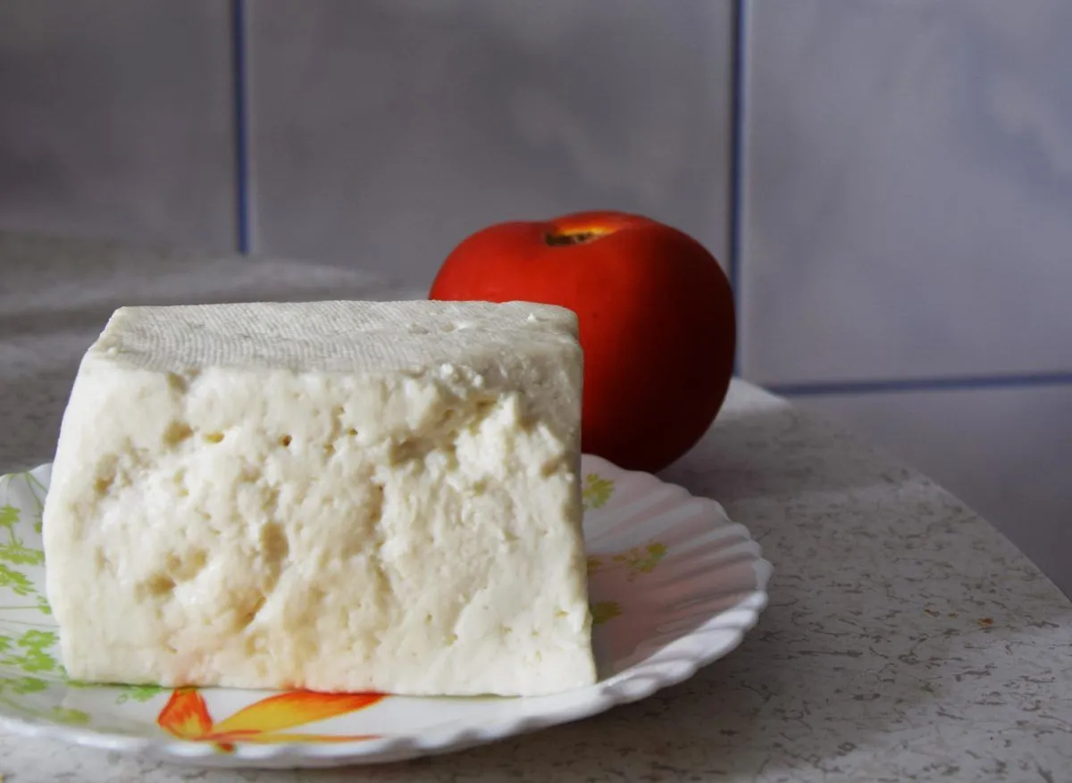 I formaggi fanno ingrassare o dimagrire?