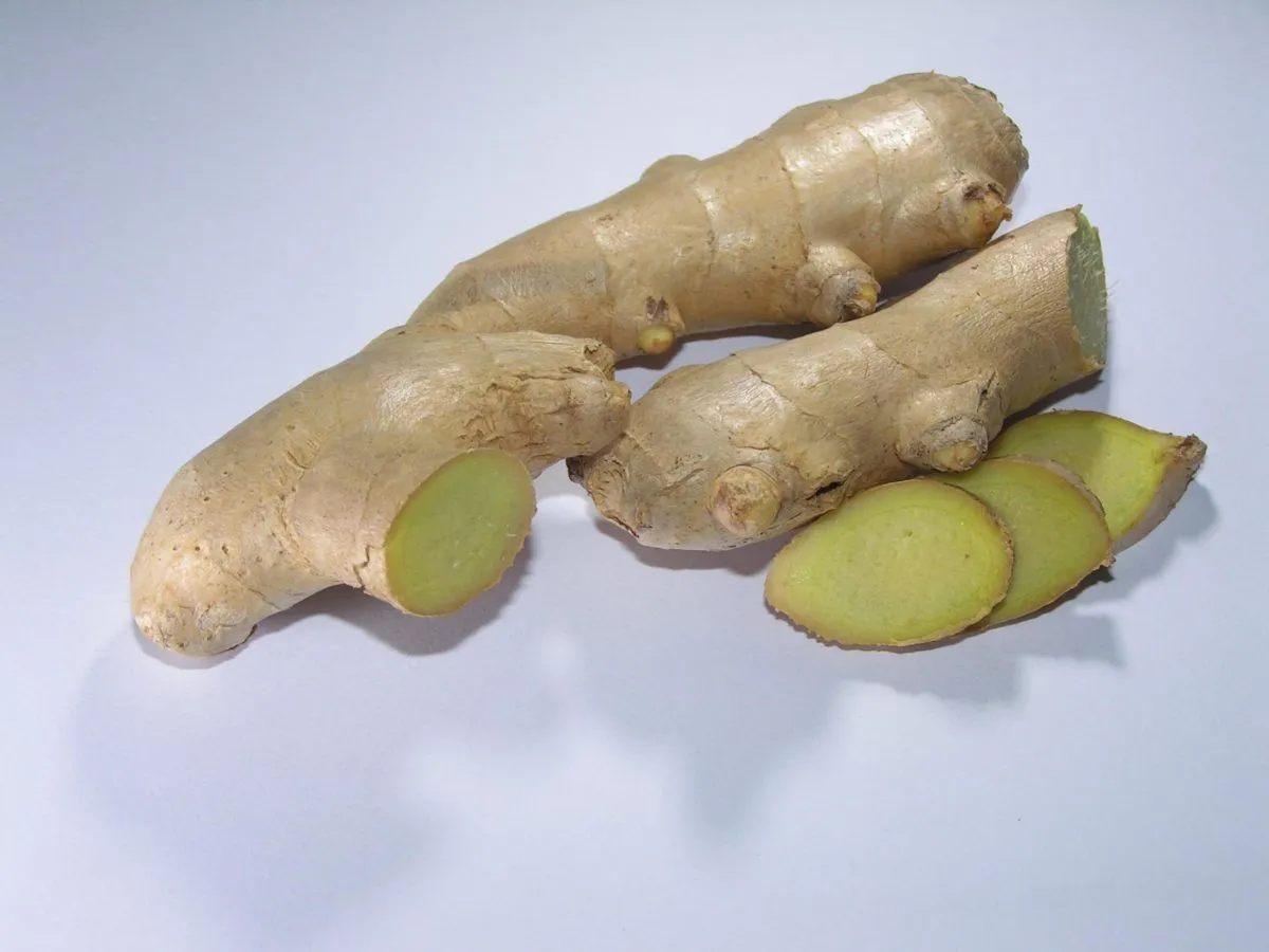 La tisana allo zenzero antinfiammatoria e depurativa