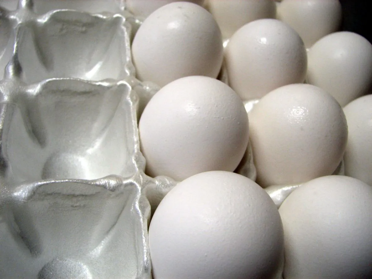 Diete iperproteiche e problemi di insulina nelle donne in menopausa?