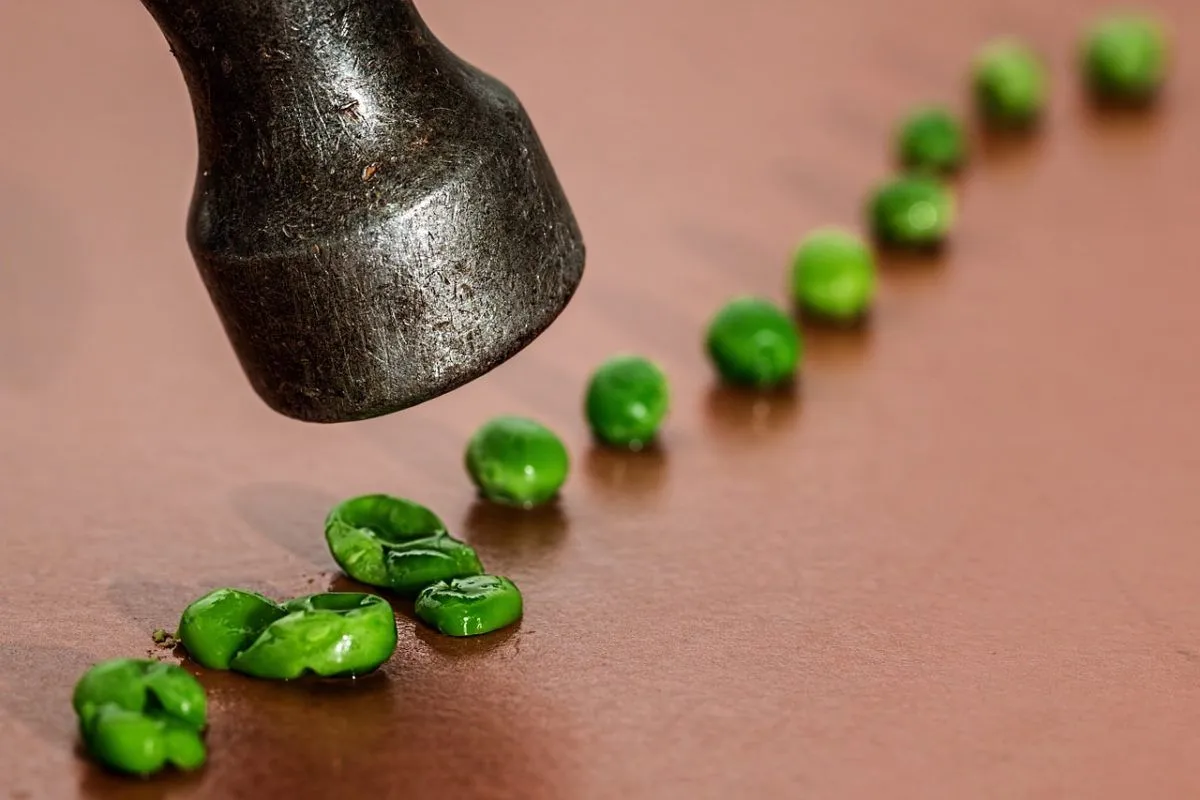 Una dieta sbagliata fa diventare più violenti?