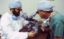 il nostro intestino ci fa mangiare troppo