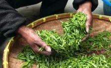 aiuti per dimagrire i bruciagrassi per perdere peso