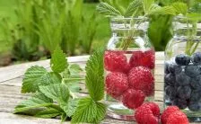 lacqua drenante e detox swimsuit del dottor oz