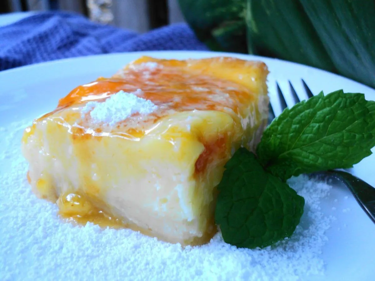 Cheesecake leggera alle albicocche