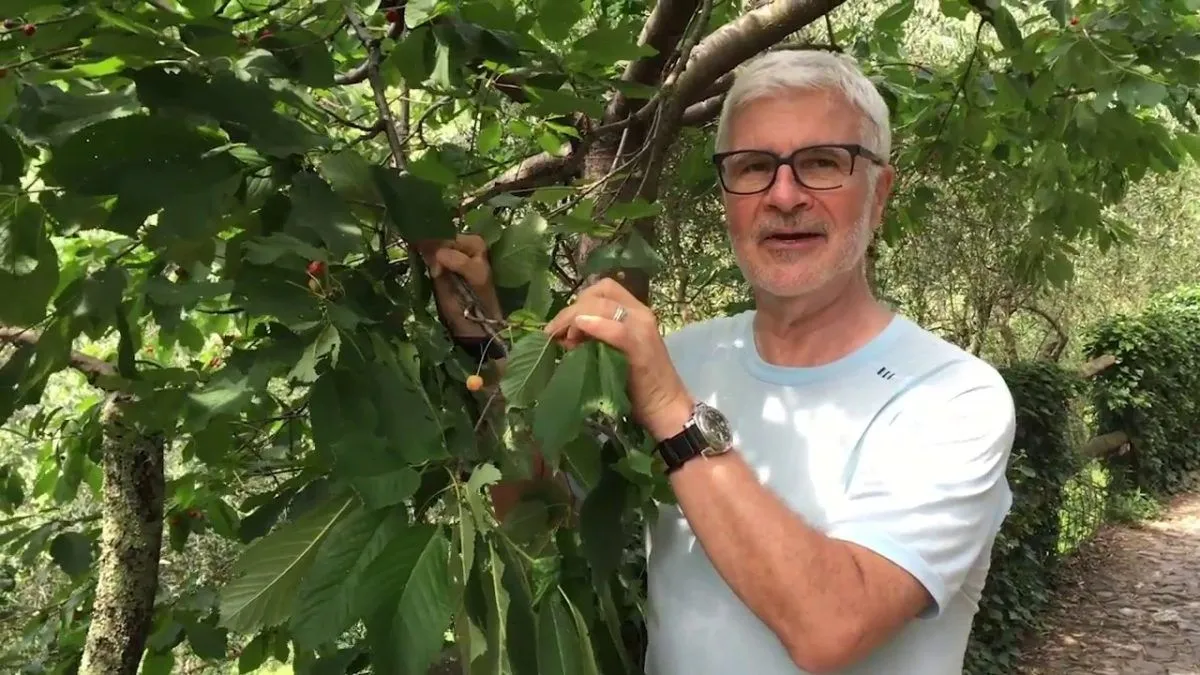 Le lectine fanno ingrassare?