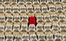 haribo lo scandalo delle caramelle gommose