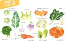 vegetali autunnali verdure autunnali e invernali le proprieta