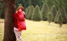 cibi ricchi di ferro quando e perche assumerli