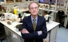 la dieta per diabetici di tipo 2 deve favorire la perdita di peso