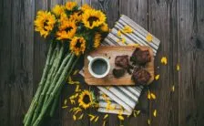 brownies light solo 74 calorie luno