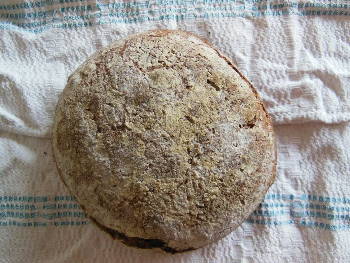 Pane a basso indice glicemico con farina di orzo