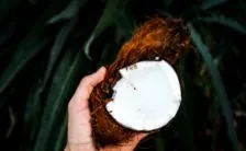 come fare una dieta chetogenica vegetariana e vegana