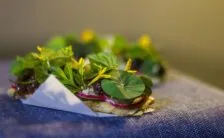 gli alimenti per il fegato per una disintossicazione naturale