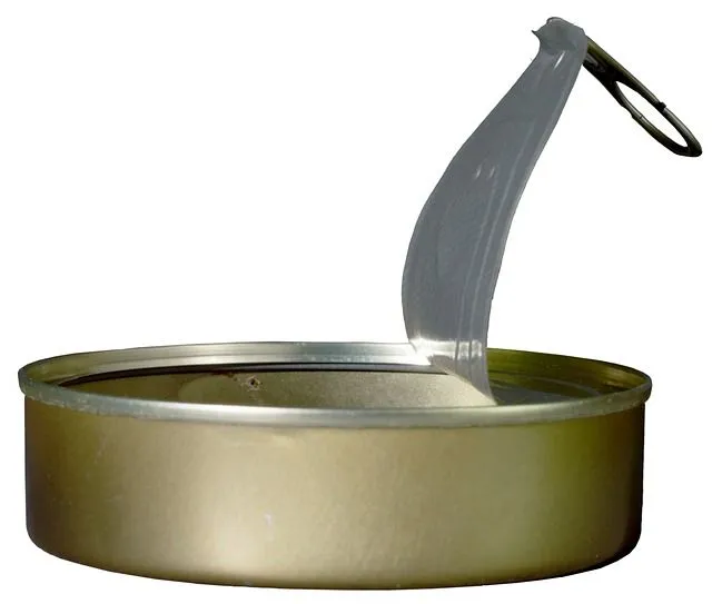 Cibi in scatola: attenzione allo zinco!