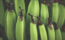 i cibi con amido resistente per restare in forma