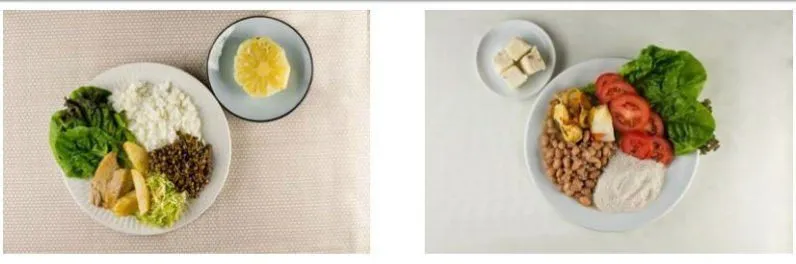 brazil_dietary_2 brazil_dietary_2