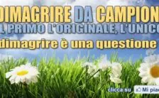 dimagrire da campioni il programma anti dieta