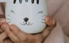 il functional imagery training per dimagrire