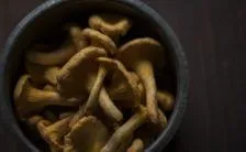 Funghi Fanno Dimagrire