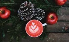 Dieta Disintossicante Pre Natalizia